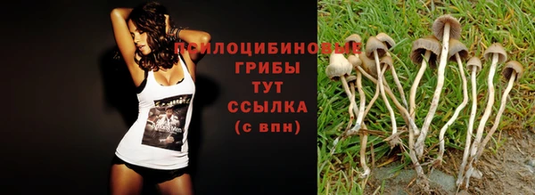 мефедрон мука Алексеевка