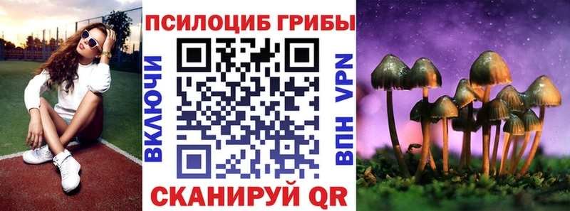 это какой сайт  наркотики  Юхнов  Галлюциногенные грибы MAGIC MUSHROOMS 