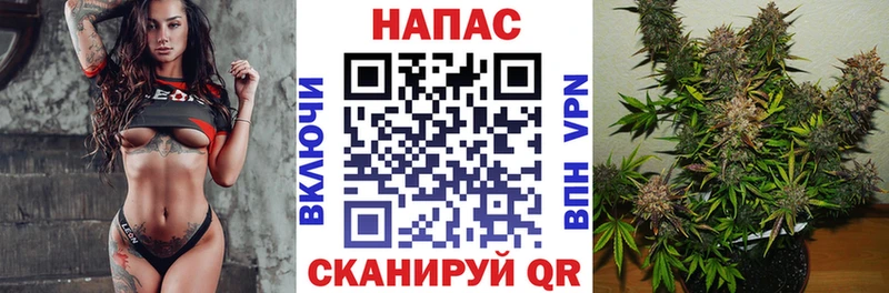 Бошки Шишки марихуана  hydra tor  Юхнов 